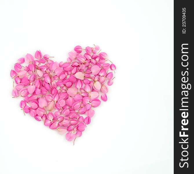 Pink flowers heart shape on white background