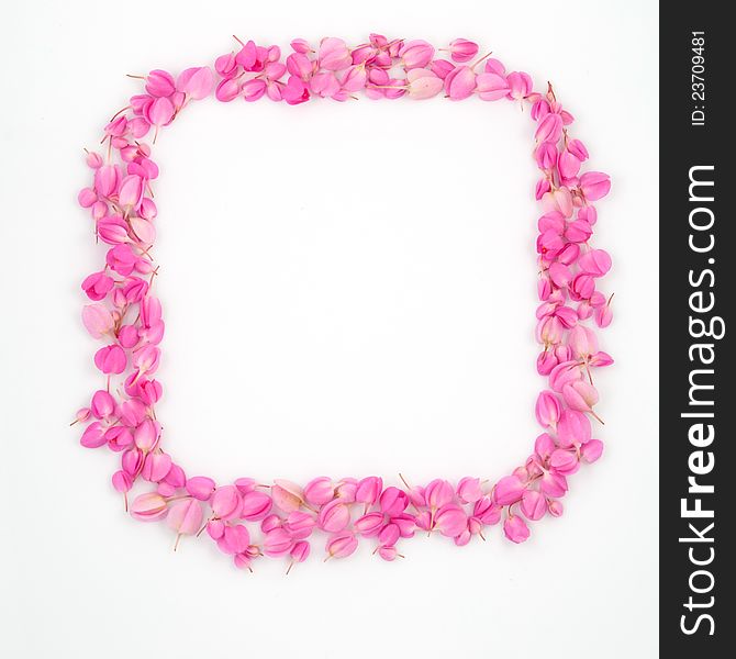 Pink flowers rectangular frame on white background