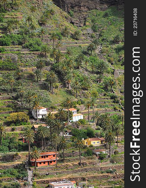 Slope with tropical vegetation on La Gomera. Slope with tropical vegetation on La Gomera