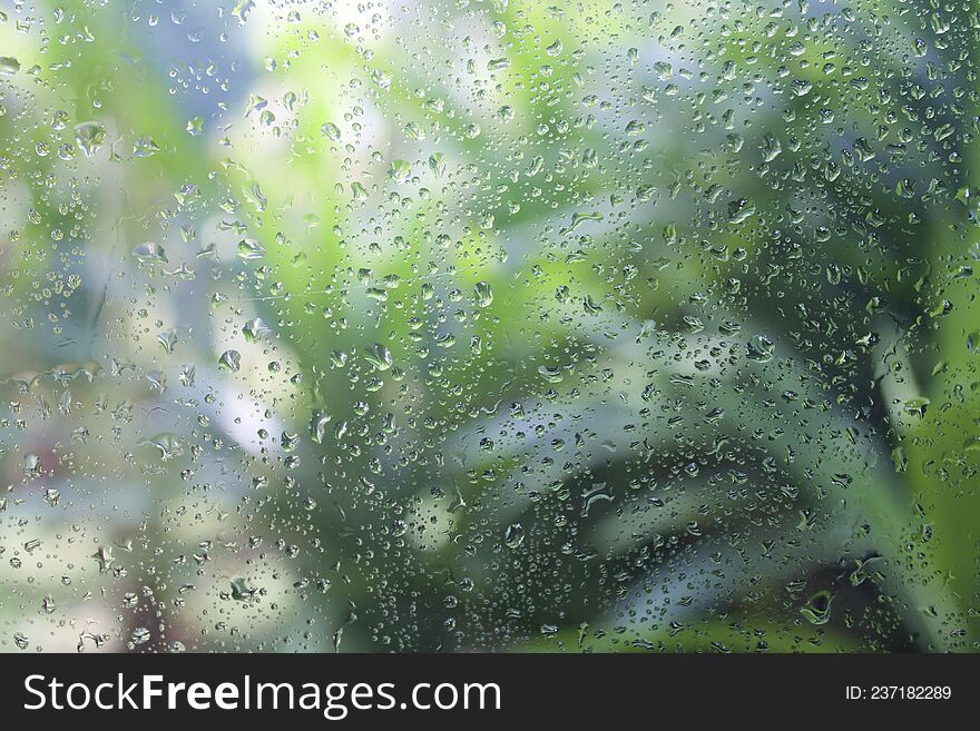 a defocused background image with the theme of water drops in a garden