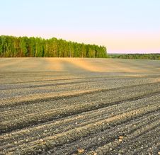 Plowed Field At Sunset Stock Photos