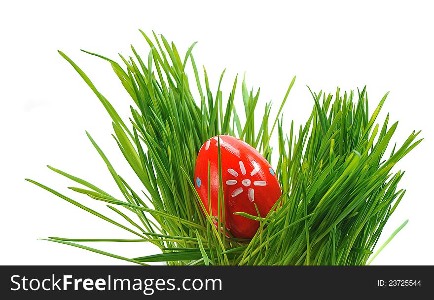 Redl easter egg in green grass isolated on white background