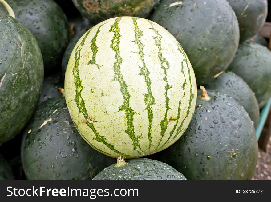 Watermelons are fantastically refreshing in summer days. Watermelons are fantastically refreshing in summer days