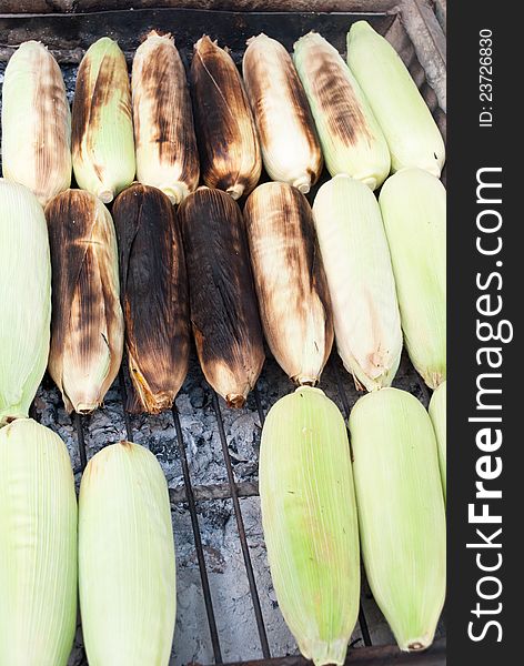 Fresh corns grill and roasted. Fresh corns grill and roasted