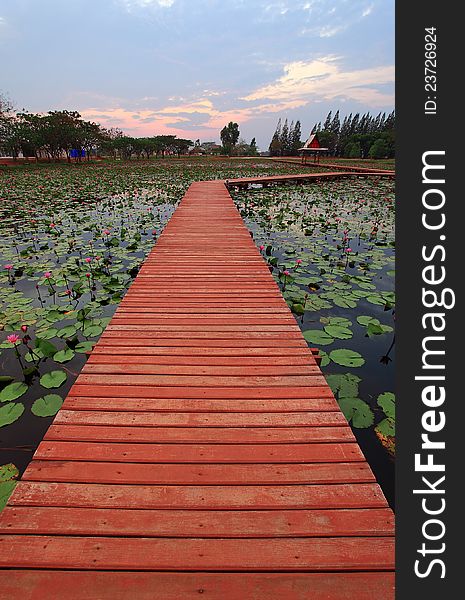 Walkway path over Lotus pond