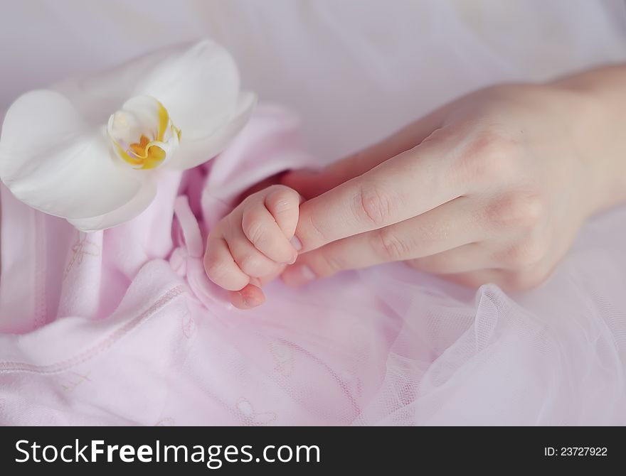 On gentle.vozdushnyj a background with a flower the mother's hand irons a hand of the baby. On gentle.vozdushnyj a background with a flower the mother's hand irons a hand of the baby