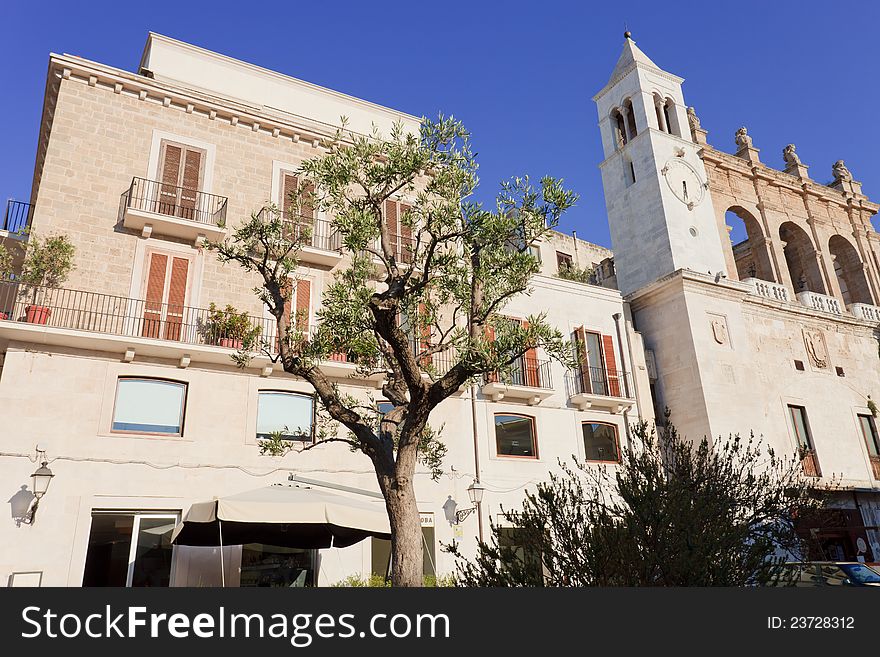 Church and old olive tree in Bari Italy. Church and old olive tree in Bari Italy