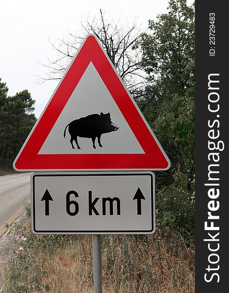 Red triangle warning sign of wild boar. Red triangle warning sign of wild boar