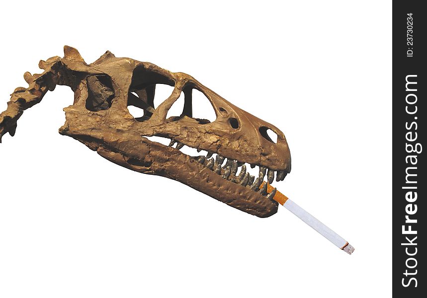 Dinosaur Fossil Head Smoking Cigarette