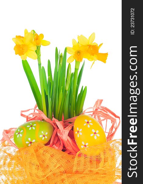 Easter eggs and spring yellow narcissus (daffodil) in flower pot with bright decoration isolated on white background. Easter eggs and spring yellow narcissus (daffodil) in flower pot with bright decoration isolated on white background