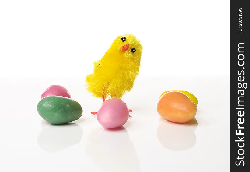 Cute Easter chicken on white background with candy and copyspace. Cute Easter chicken on white background with candy and copyspace