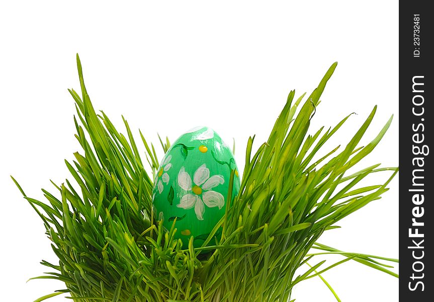 Green easter egg in  green grass. Green easter egg in  green grass