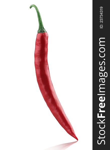 Asian red hot and spicy chili freshness from garden. Asian red hot and spicy chili freshness from garden