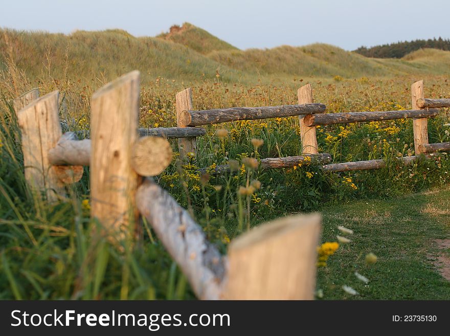 Fence, Wildflowers and grass cover the sand dunes,Prince Edward Island,Canada
