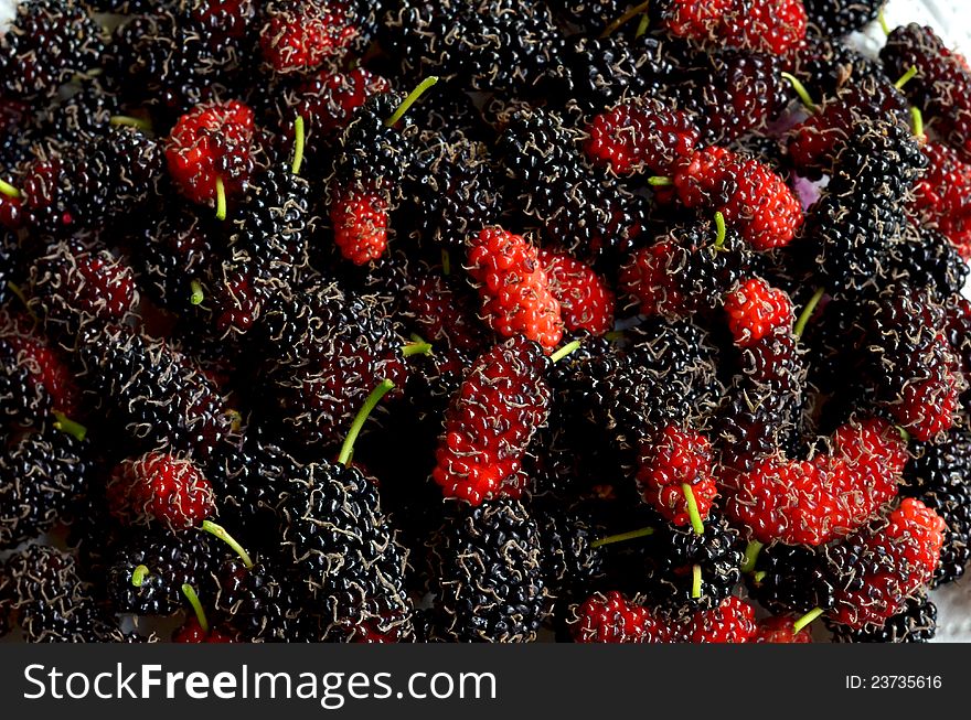 Background texture of fresh mulberries. Background texture of fresh mulberries