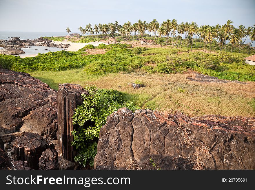Beautiful view of rocks and stones and having lots of coconut or palm trees. Beautiful view of rocks and stones and having lots of coconut or palm trees