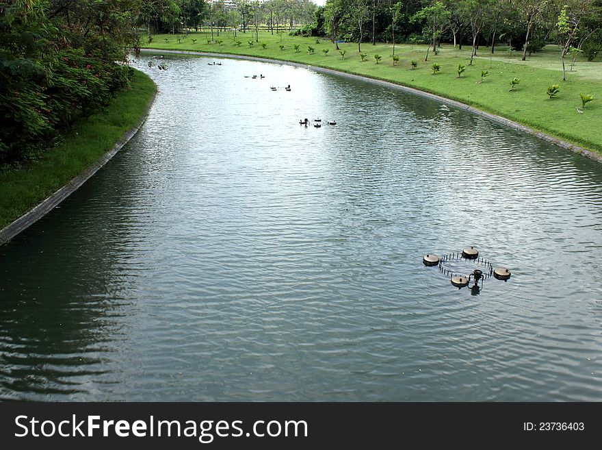 Canal water in the garden