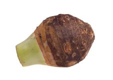 Taro Stock Image Taro Stock Image