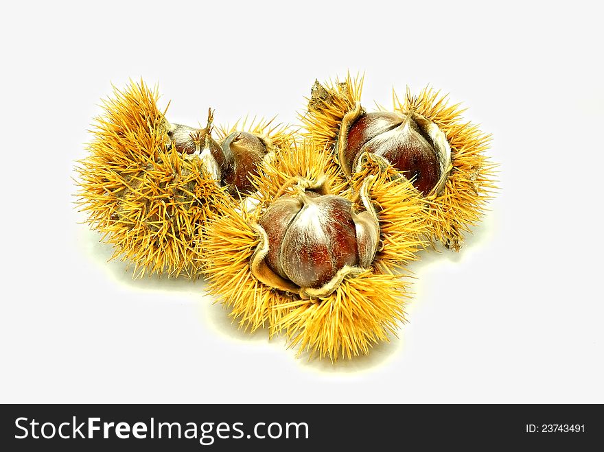 Chestnuts isolated on white background