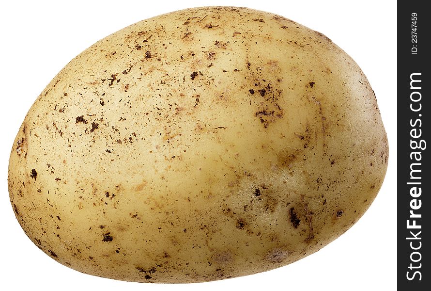 A small potato with rich detail and without a shadow