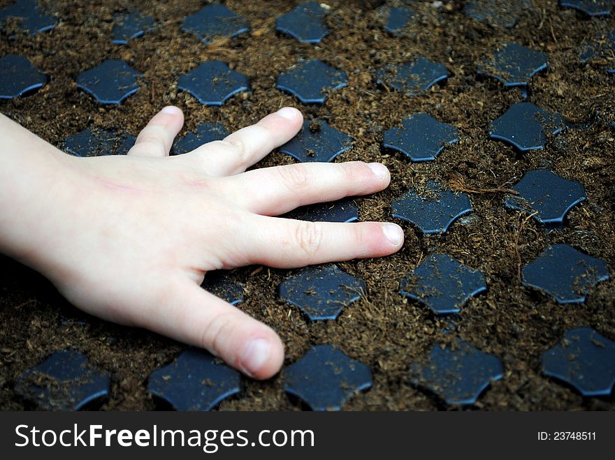 Kid hand over a sown seedbed with soil