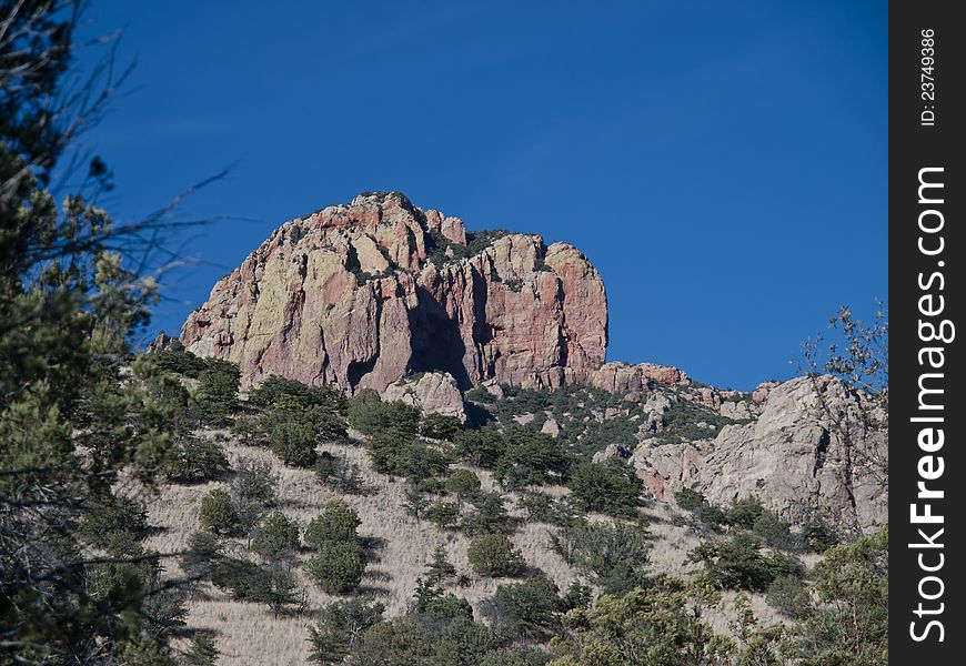 Blue skies, red rocks, and arid plants make an authentic Southwest landscape