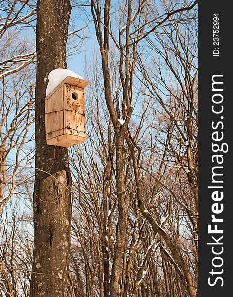 Birdhouse in Winter Park on a tree