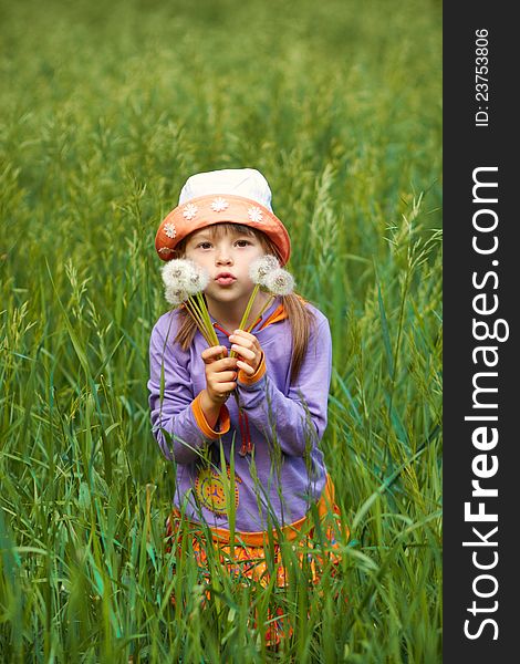 Little Girl Looking Through The Dandelions