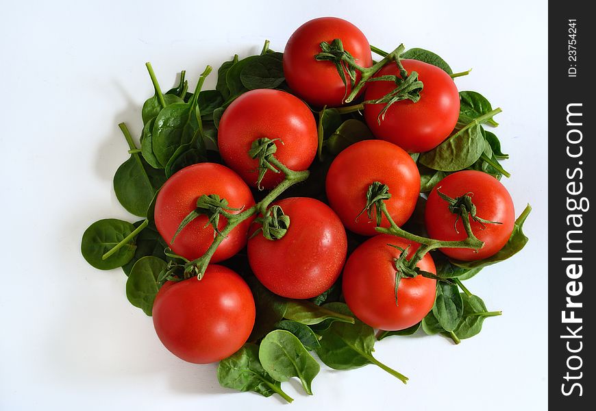 Vine tomatoes on a bed of fresh spinach,  on white. Vine tomatoes on a bed of fresh spinach,  on white.