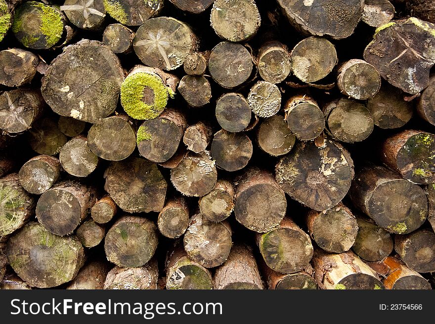 A pile of sawn pine logs. A pile of sawn pine logs