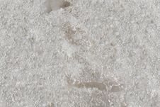 Melting Snow Stock Photo Melting Snow Stock Photo