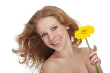 Beautiful Young Woman With Yellow Gerbera Fl Royalty Free Stock Image Beautiful Young Woman With Yellow Gerbera Fl Royalty Free Stock Image