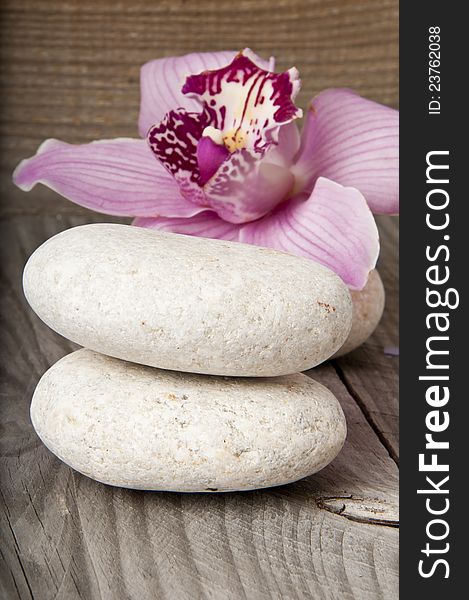 Pink orchid flower on the wooden background. Spa concept