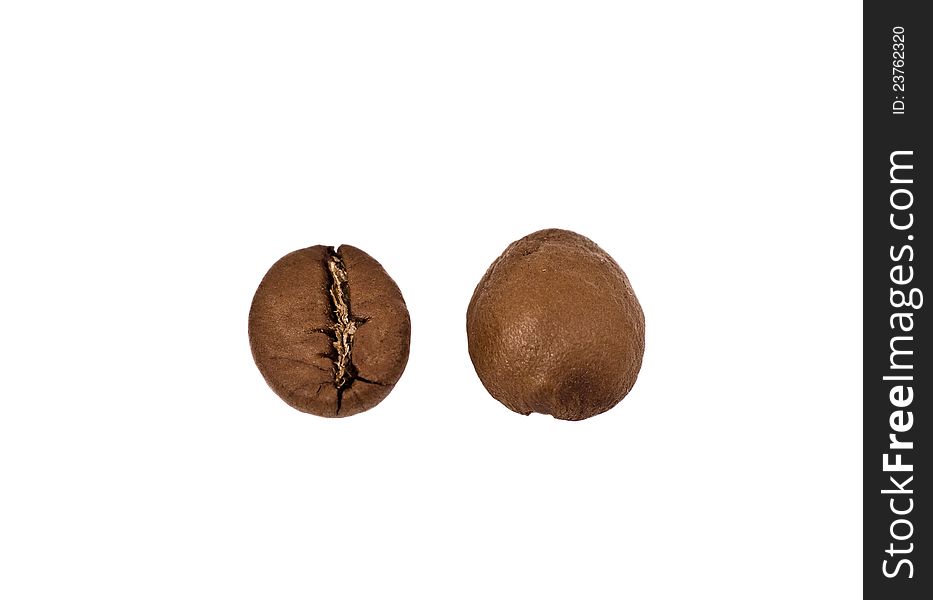 Two coffee beans isolated over white background