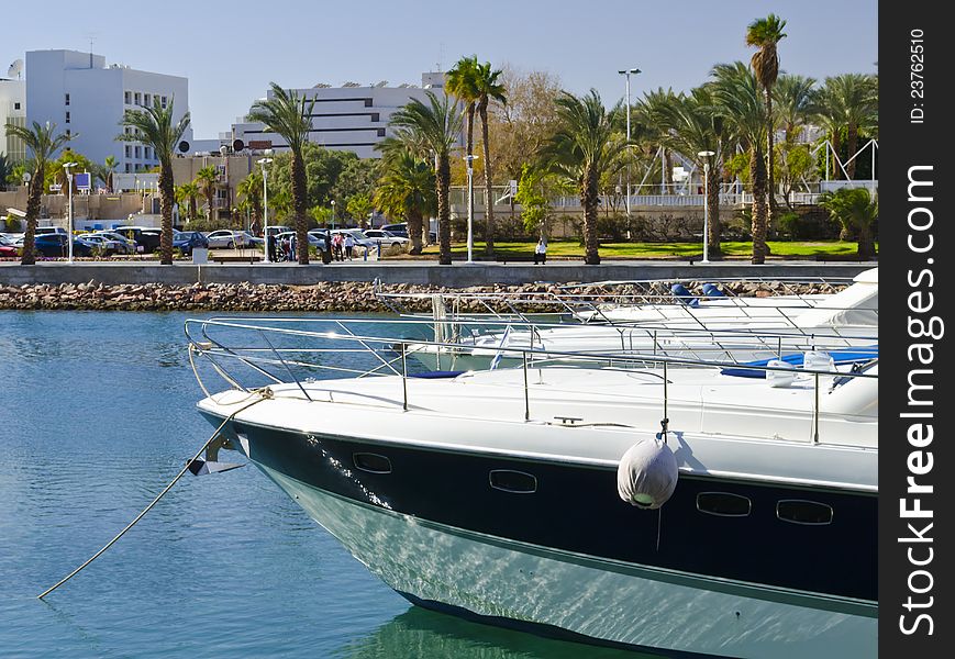 Moored Yachts In Marina Of Eilat, Israel