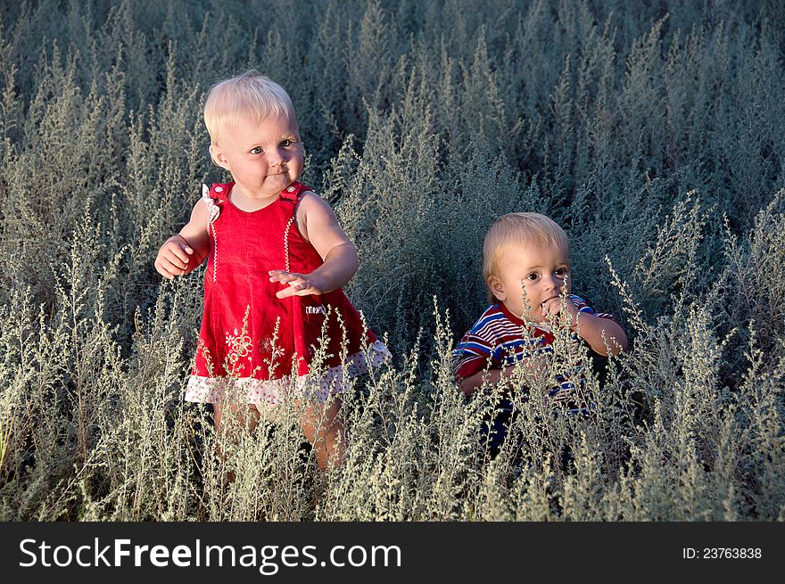 Kids are walking in a field at dusk