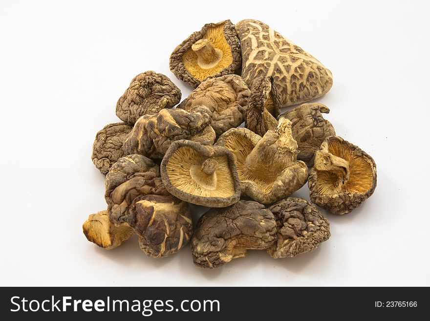 Dried mushrooms in white background
