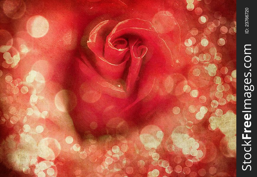 Abstract Grunge Background With Rose. Abstract Grunge Background With Rose