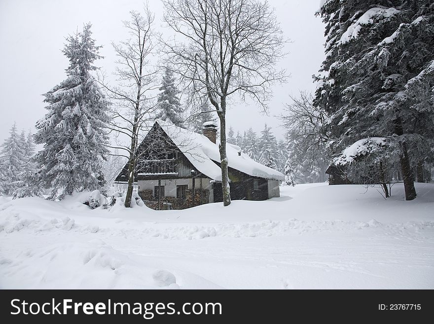 Landscape with cottage in the Eagle Mountains, snow-covered cottage between two trees, an overcast winter day with a cottage, winter in the Czech countryside, a place of rest and recreation. Landscape with cottage in the Eagle Mountains, snow-covered cottage between two trees, an overcast winter day with a cottage, winter in the Czech countryside, a place of rest and recreation