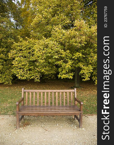 Bench in the park on the star, detail benches in Prague, brown bench, brown bench by the roadside, hnšdá bench and green trees. Bench in the park on the star, detail benches in Prague, brown bench, brown bench by the roadside, hnšdá bench and green trees