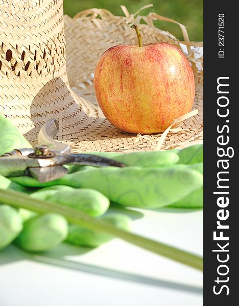 Apple placed on a straw hat in a garden. Apple placed on a straw hat in a garden