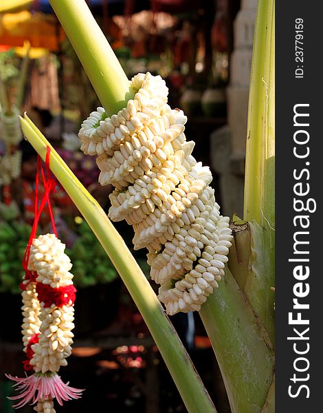 Jasmine and garland for Buddha offering