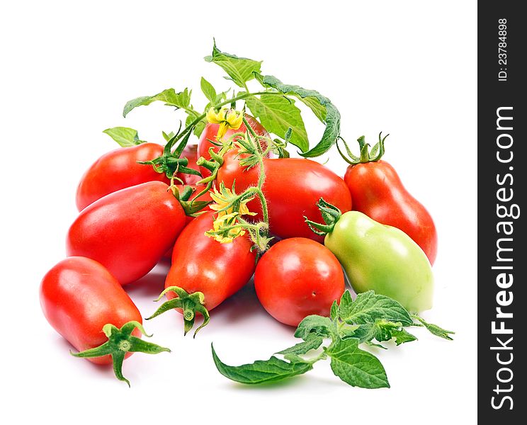 Close-up variety ripened red tomatoes isolated