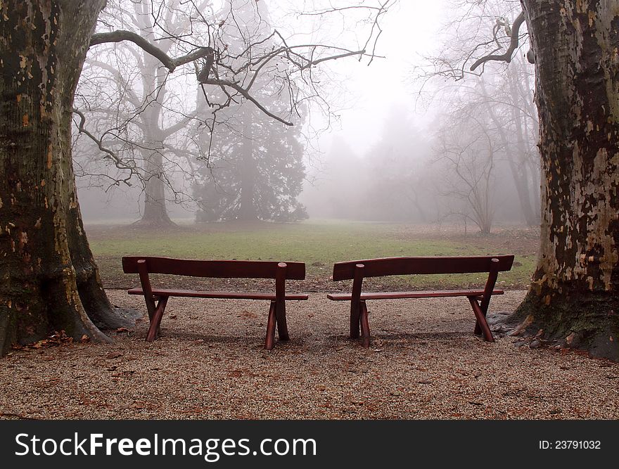Two benches in the foggy wood