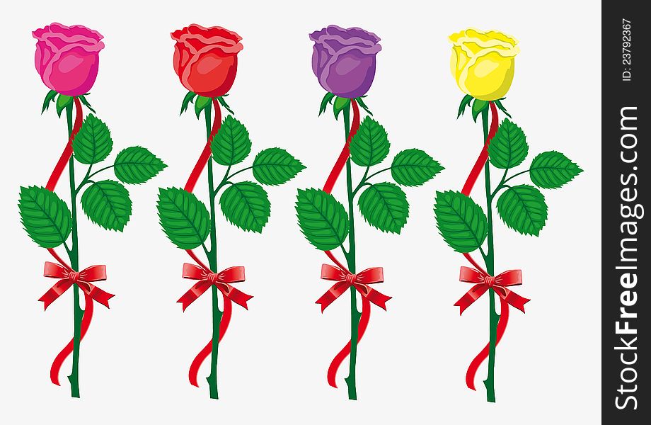 Four color  roses with green leaves, red bow and ribbon. Vector illustration. Four color  roses with green leaves, red bow and ribbon. Vector illustration