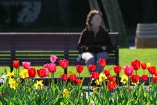 Flowery. Stock Image Flowery. Stock Image