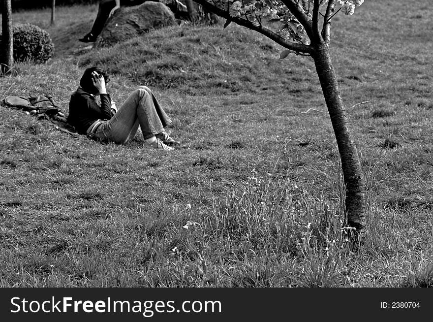 Image of a girl reading in the park. Image of a girl reading in the park