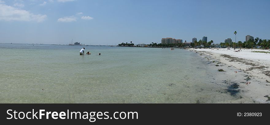This is a panoramic of the beach and palms