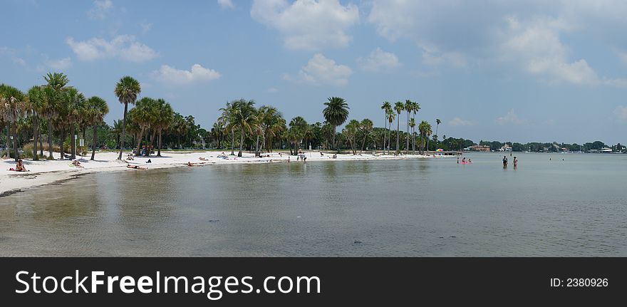 This is a panoramic of the beach and palms