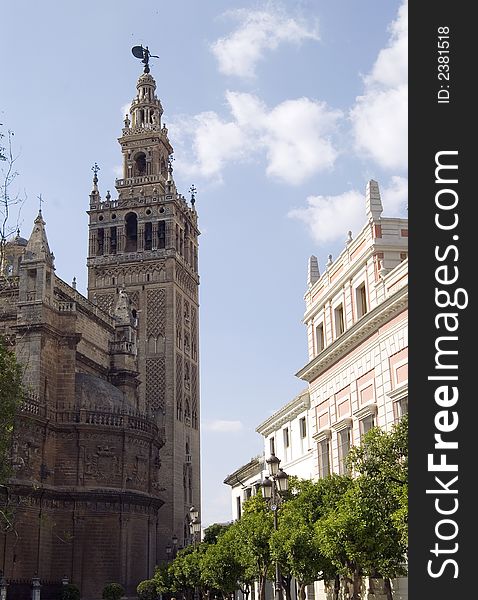 Image of the cathedral and giralda of Seville from the seat of the triumph. Image of the cathedral and giralda of Seville from the seat of the triumph